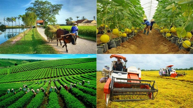 Kinh tế nông nghiệp là gì?